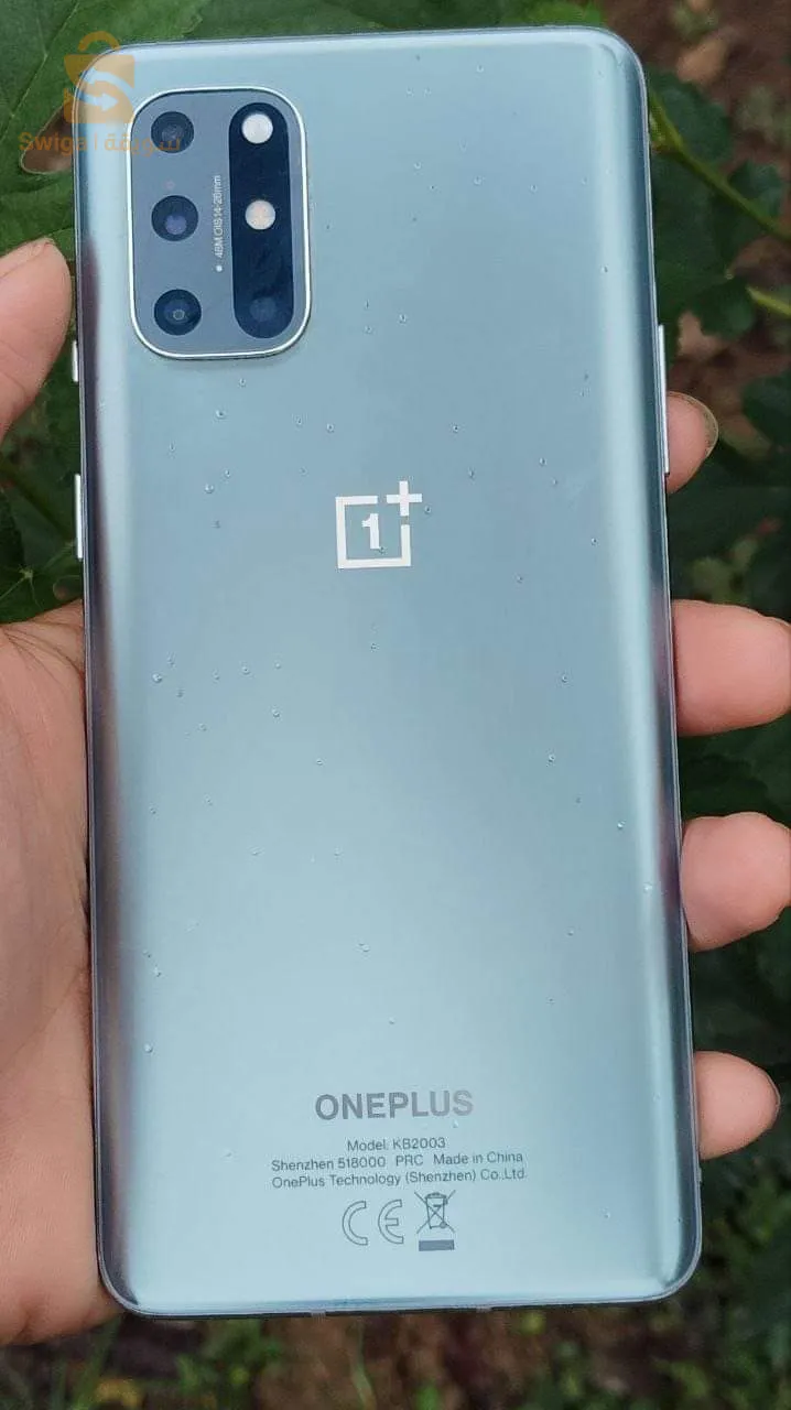 oneplus 8t