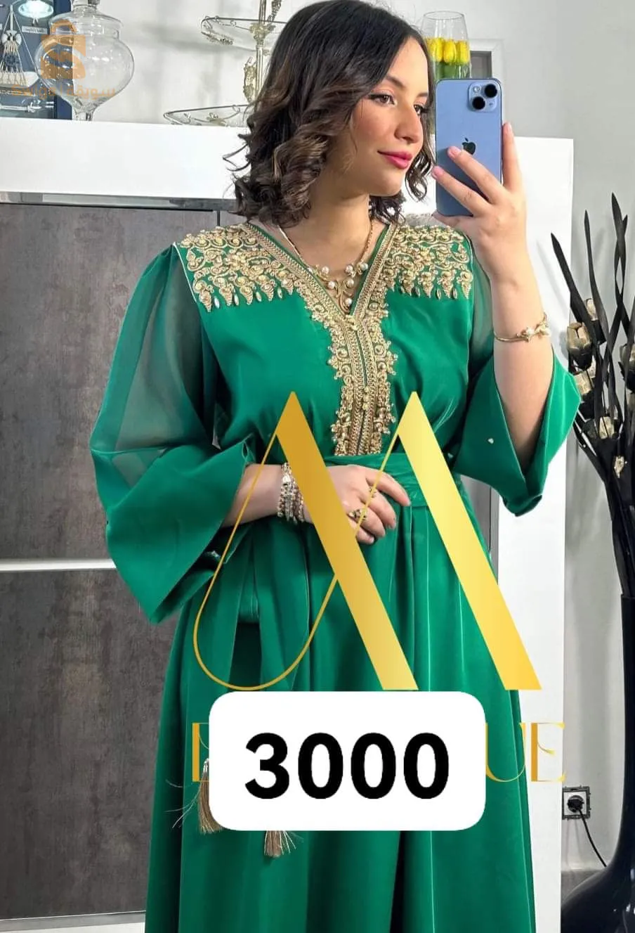 تيسمسيلت التوصيل لجميع الولايات
