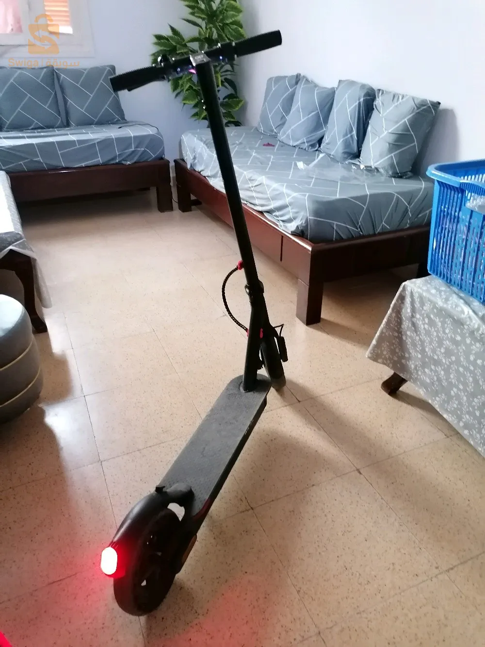 مستغانم مزغران