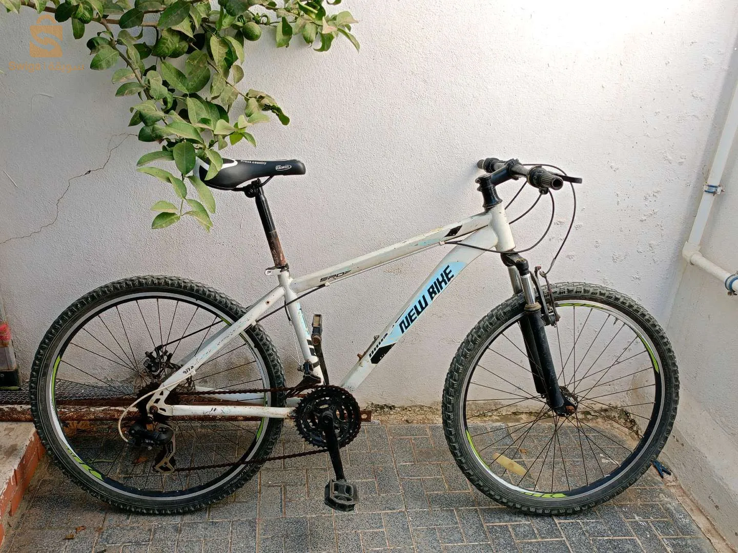 new bike