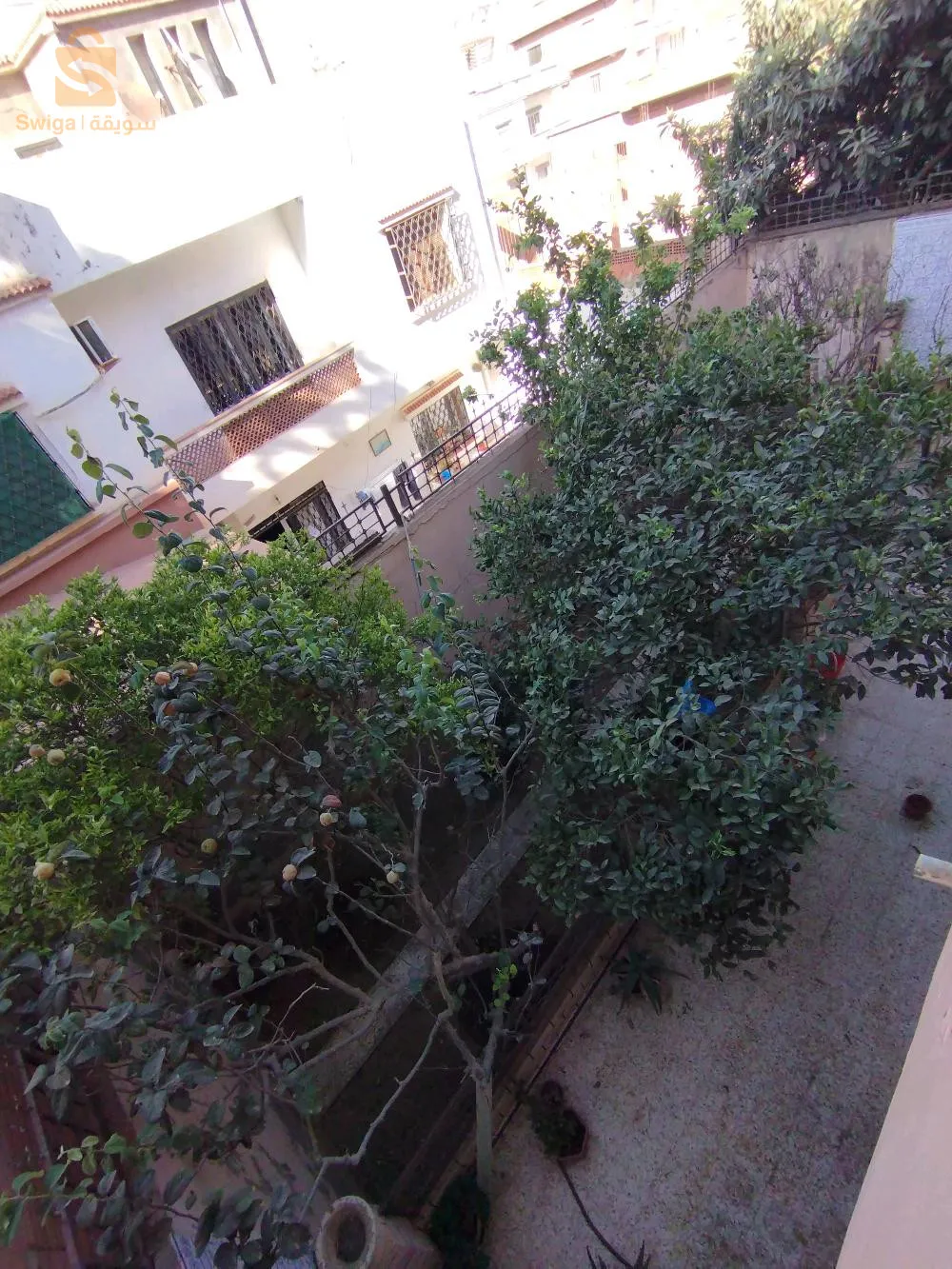 bir el djir milinoum