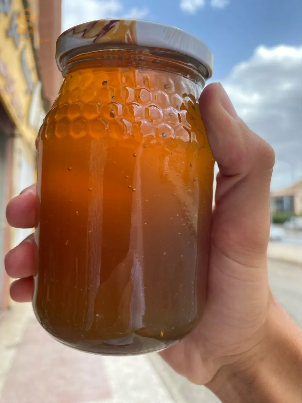 📍الان متوفر عسل السدر من قلب الاوراس 🍯⛰️