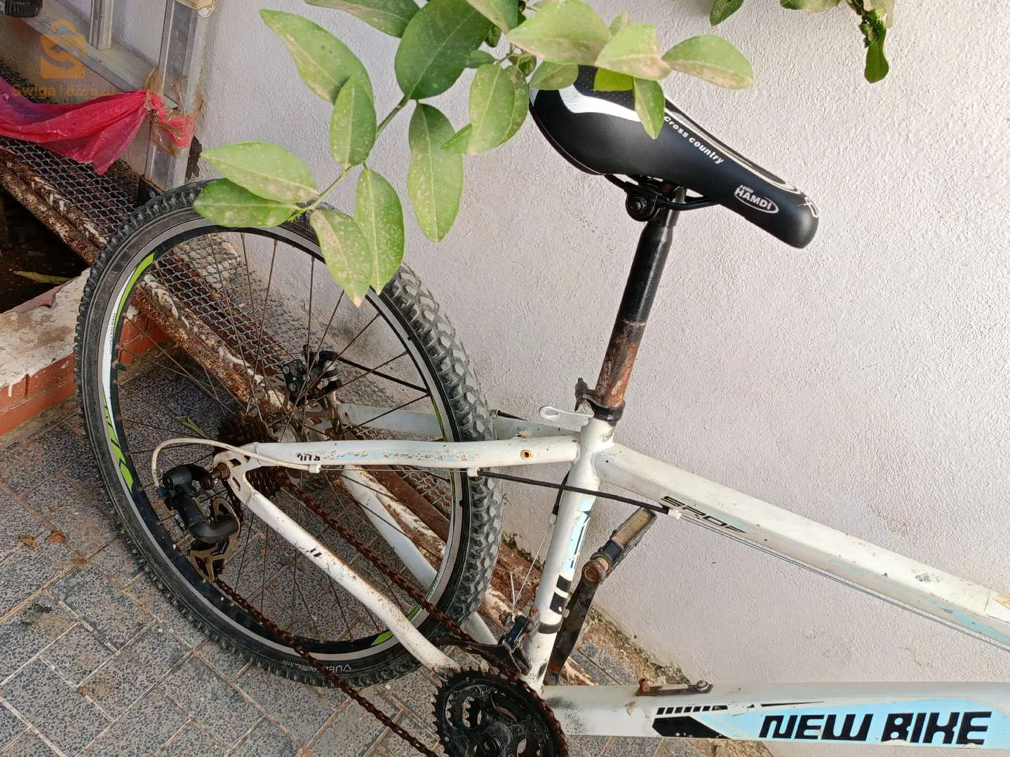 new bike