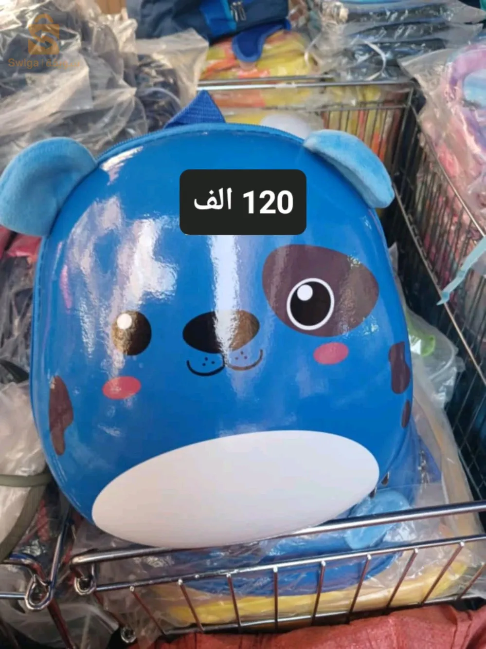 سطيف العلمة