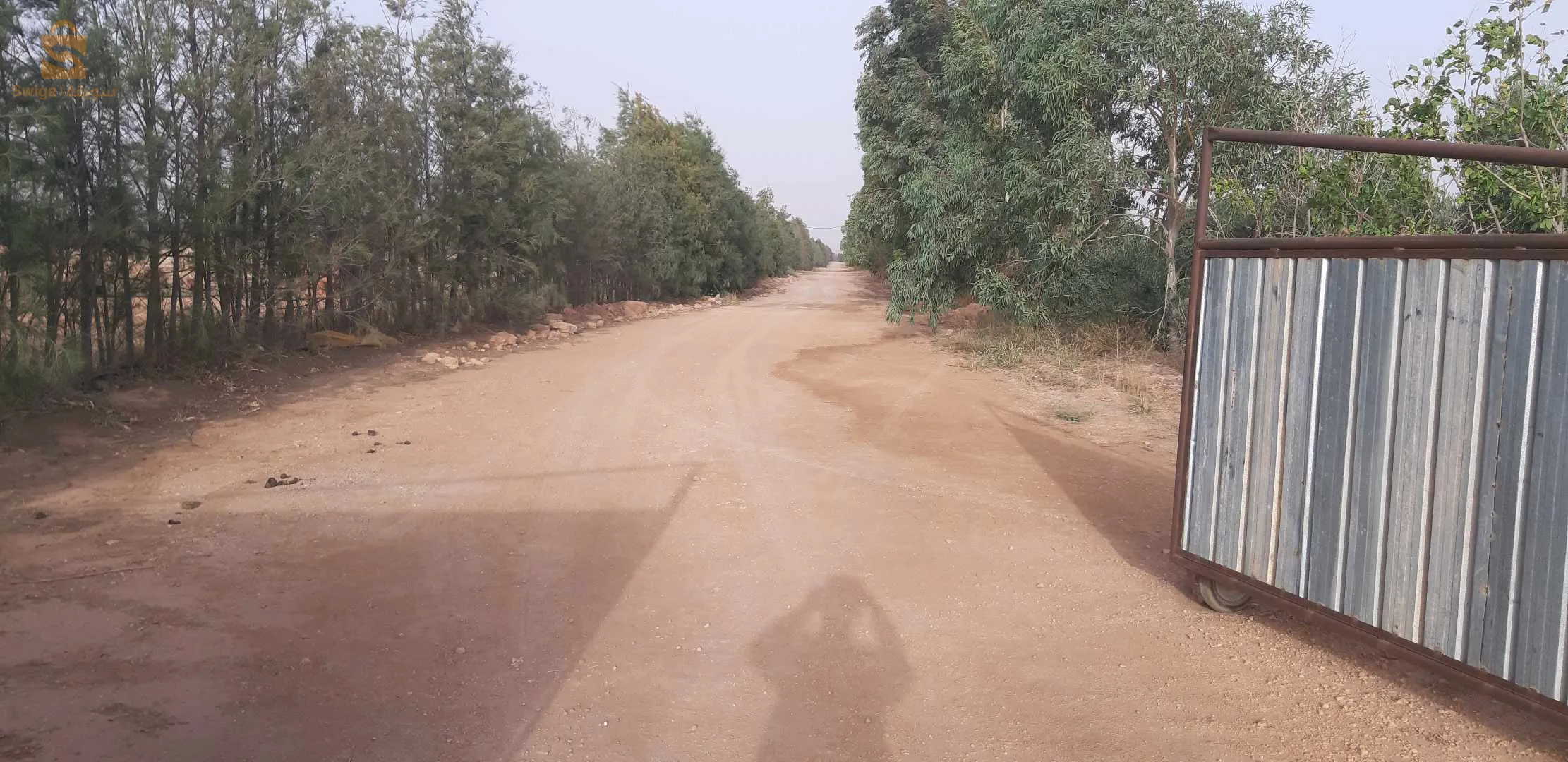 ارض فلاحية للبيع 120 هكتار دفتر عقاري مجهزة لمعلومات اكثر الهاتف 0557047466