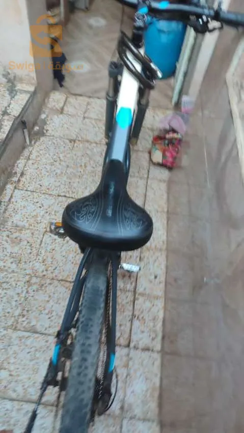 حي هواء جميل