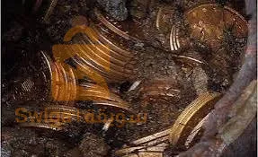 الجلفة