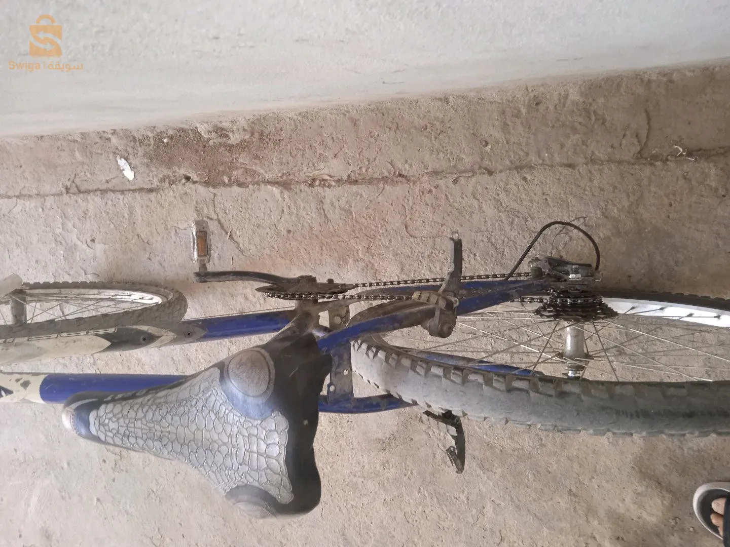 فيلو نظيفة ربي بارك تخصها زوج ڨبضات تاع ڨيدو فرانات و قبضة سونجمو و لتحت شونجمو لول الباقي كلش مليح تمشي نورمال