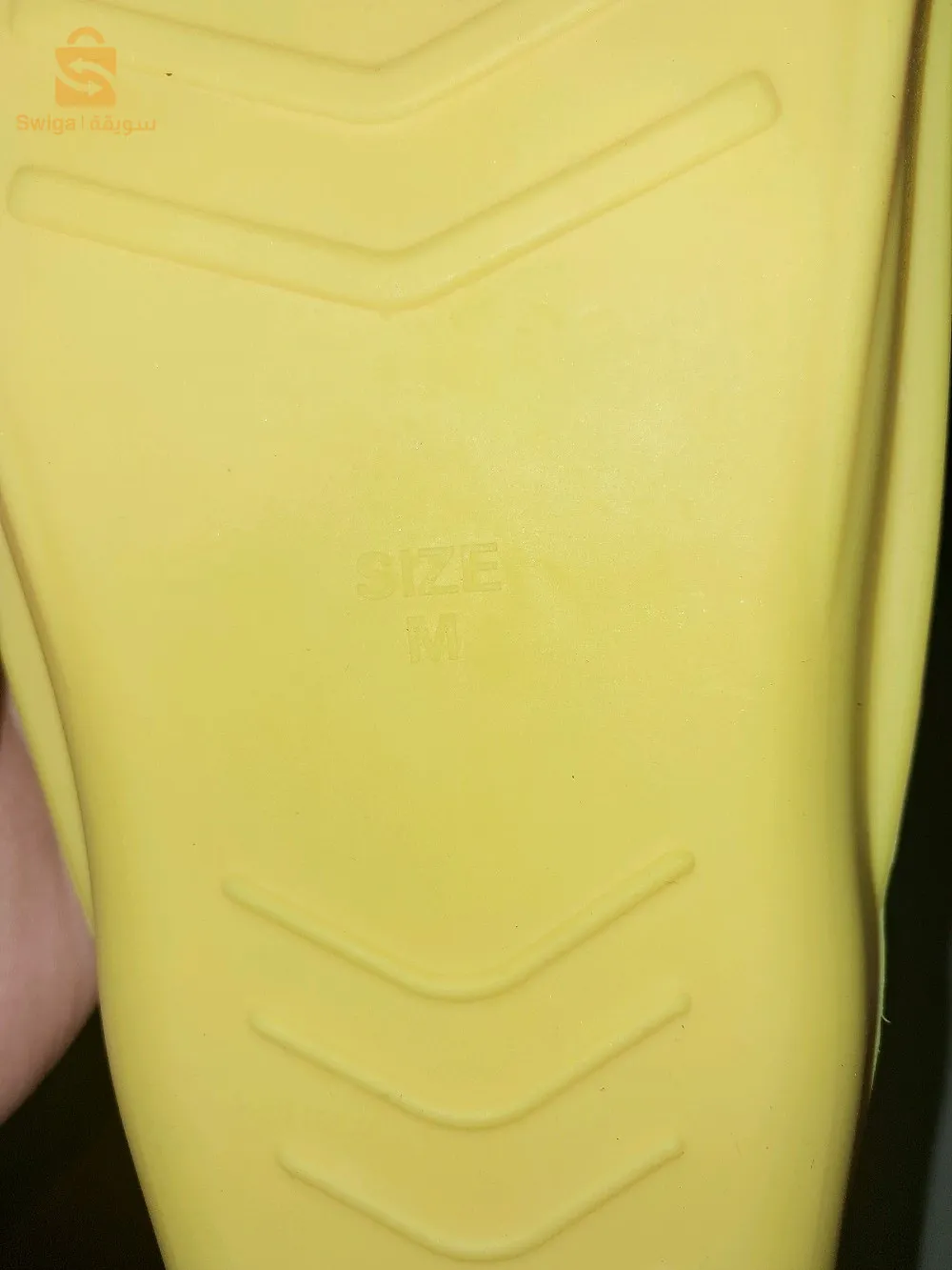 لوازم السباحة