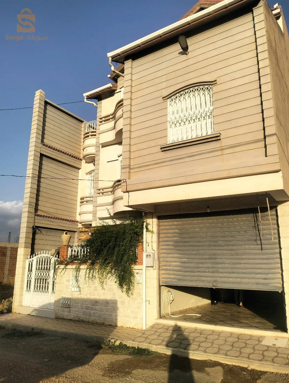 طريق تازولت باتنة