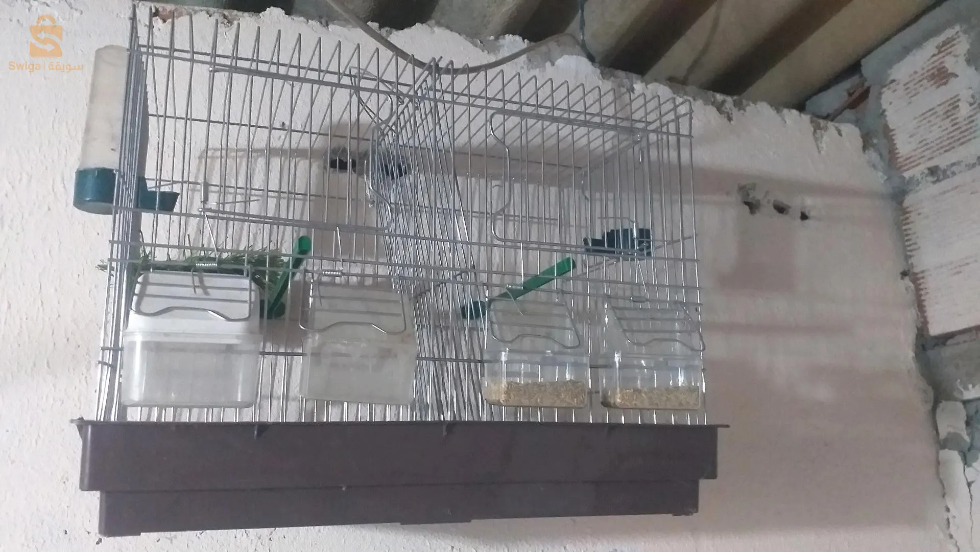 ليكاج 2 ڨارفانيزي مزالهم جدد و الكبيرة كامل ماهيش ڨارفانيزي ولاد فايت الجزائر 0779289095