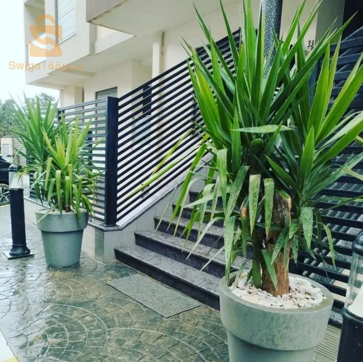 تهيئة و تزيين الحدائق و المساحات الخضراء
