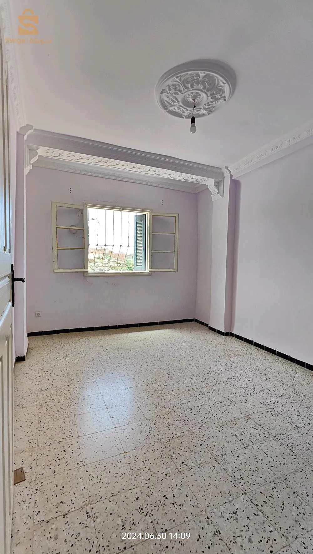 الديانسي الشعارير تنس