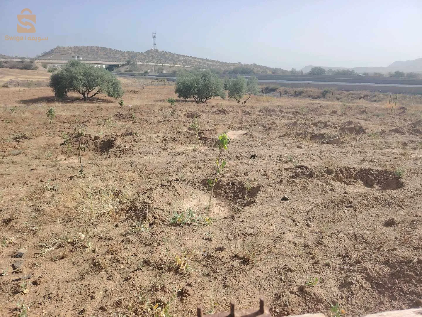 أرض في محاذات الطريق السيار شرق غرب و امام مدخل الطريق السيار إتجاه  بجاية موقع استراتيجي بإمتياز مكان هادئ و حتى توجد مصانع في قيد الإنشاء و حتى لي أنشأت.