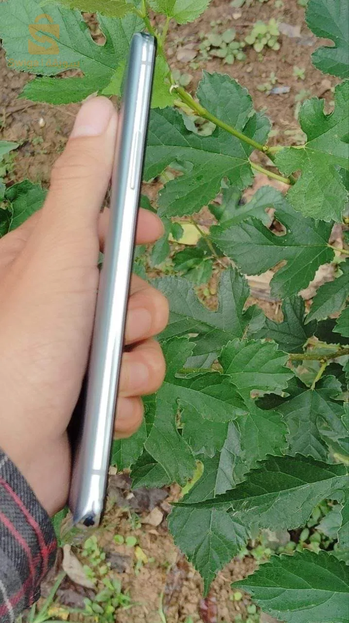 oneplus 8t