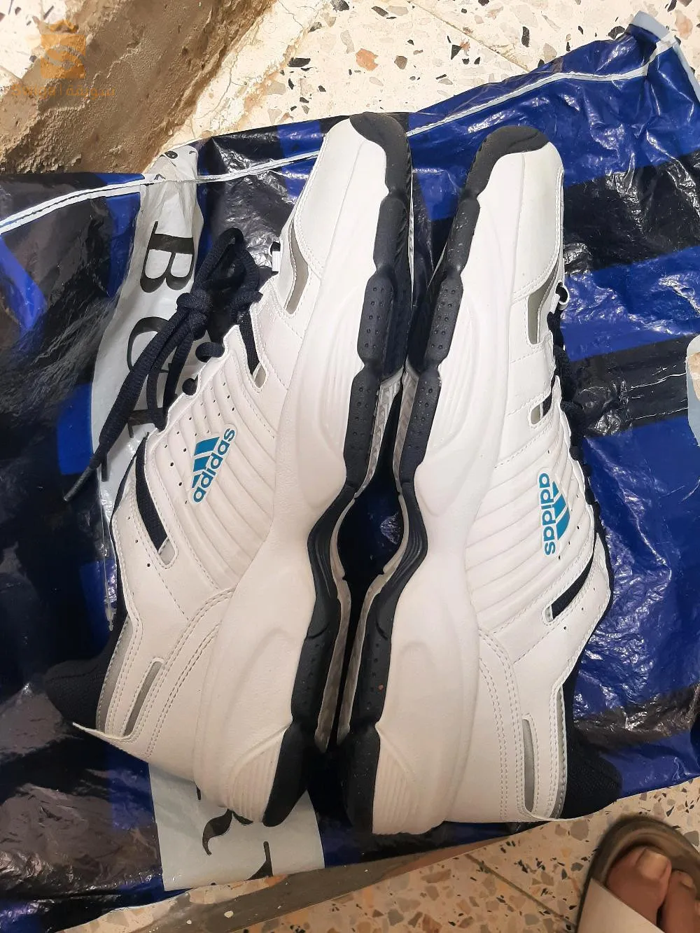 mocassin P43 sobat p44 ccilui P44 adidas P46