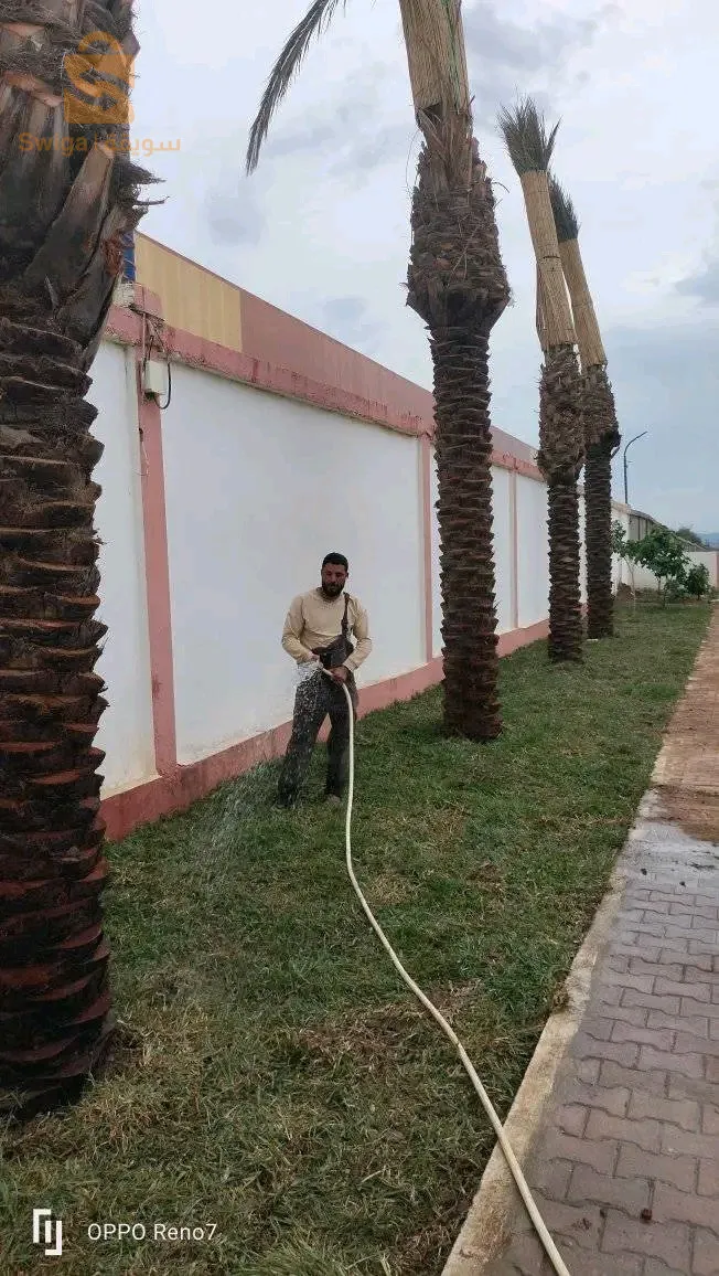 اولاد رحمون