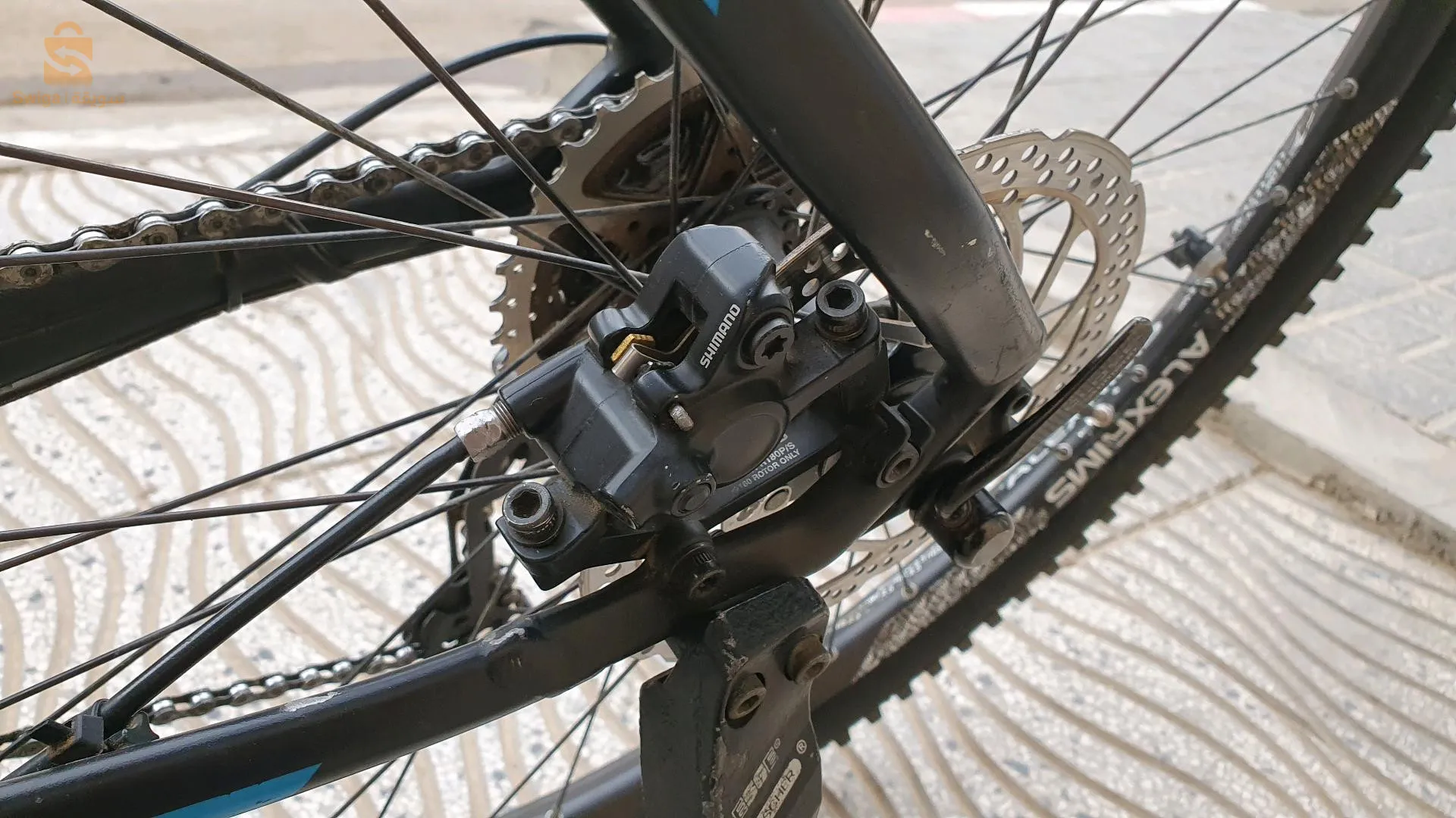 معاها شارجور اصلي نتاعها