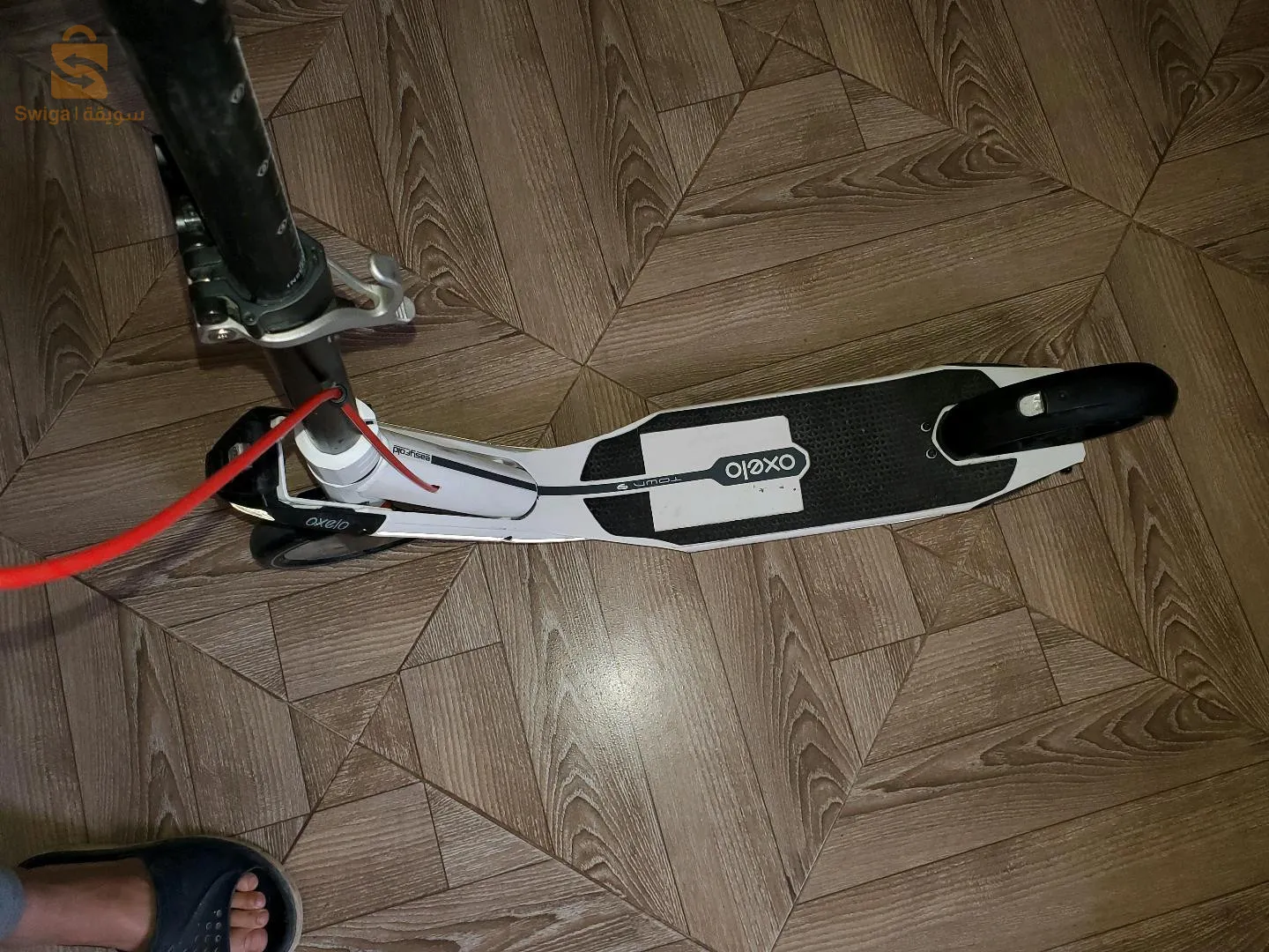 Trotinate oxelo 🛴