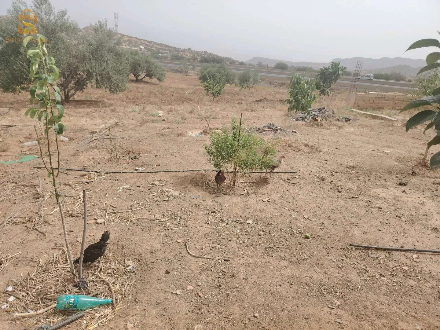 أرض في محاذات الطريق السيار شرق غرب و امام مدخل الطريق السيار إتجاه  بجاية موقع استراتيجي بإمتياز مكان هادئ و حتى توجد مصانع في قيد الإنشاء و حتى لي أنشأت.