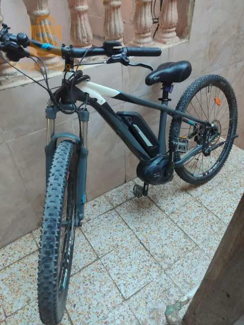 حي هواء جميل