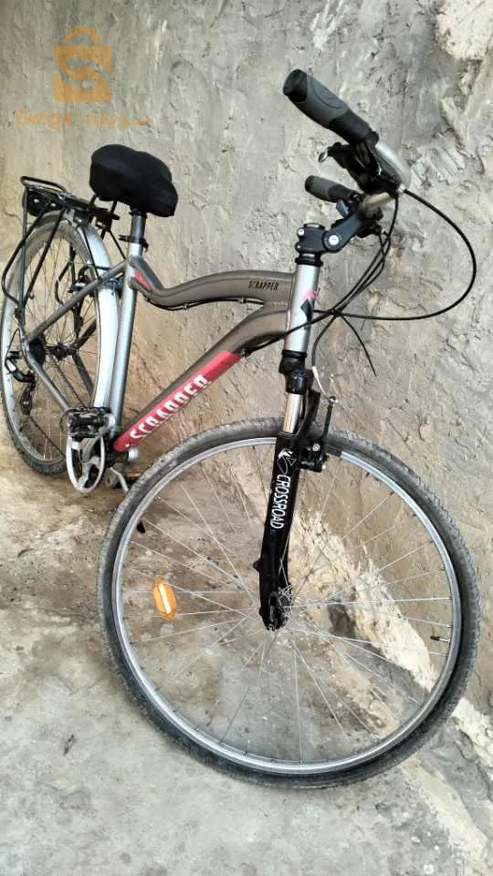 فيلو كلاسيك 28 بوس