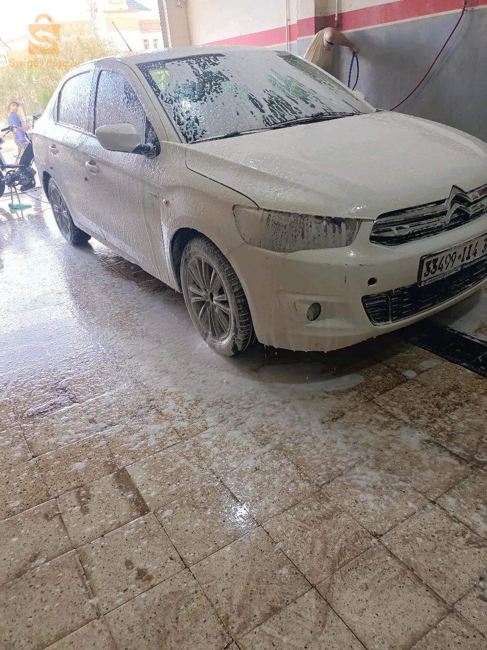 بشار