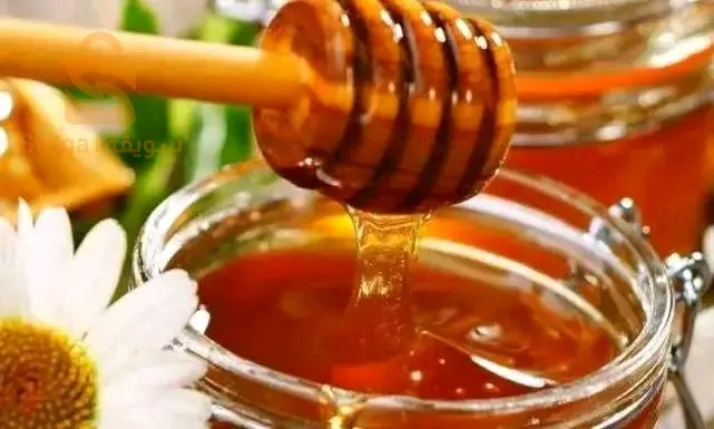 Free Mountain Honey ⛰️🍯🍯