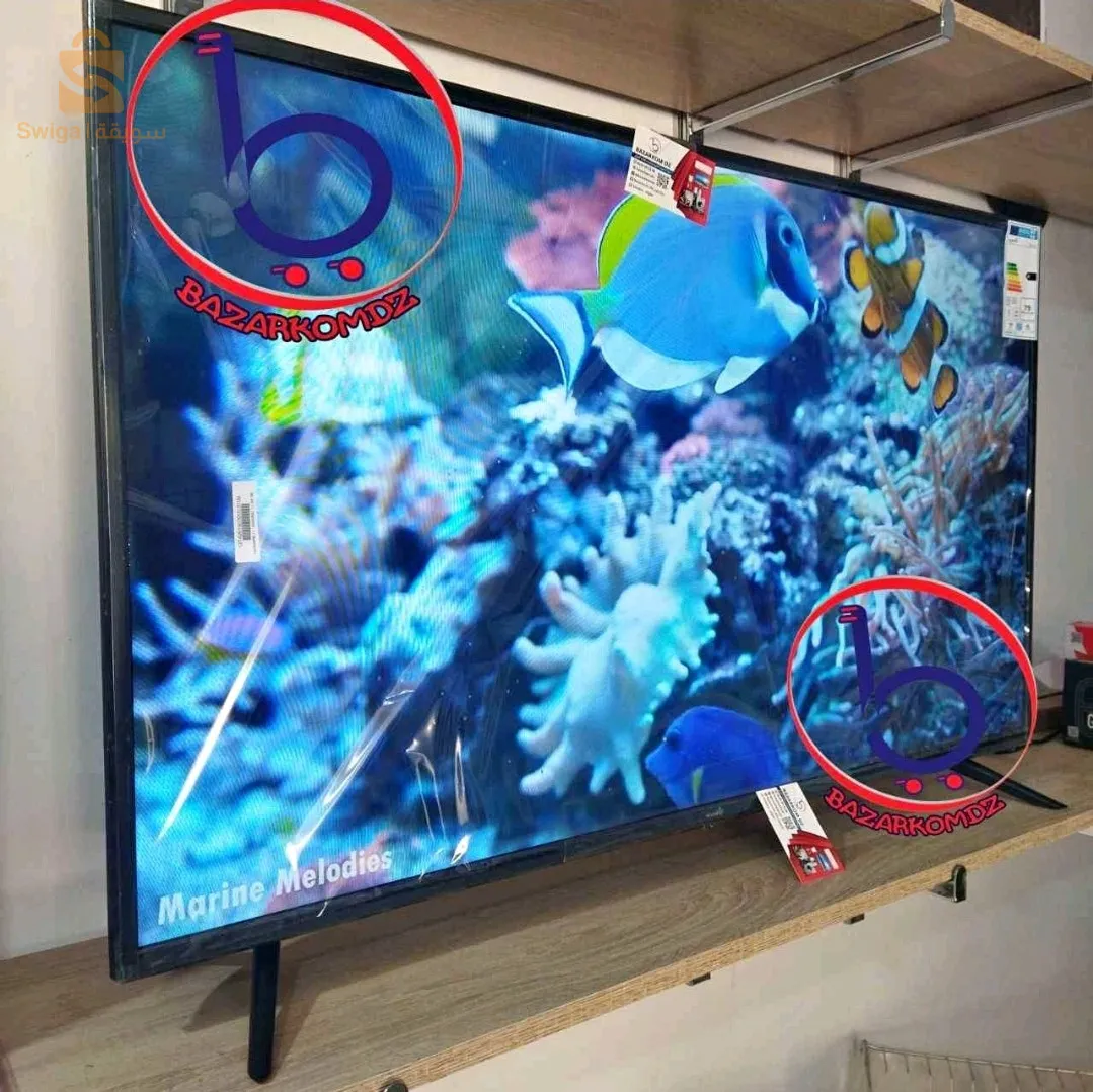 tv telestar 43 pouce Smart