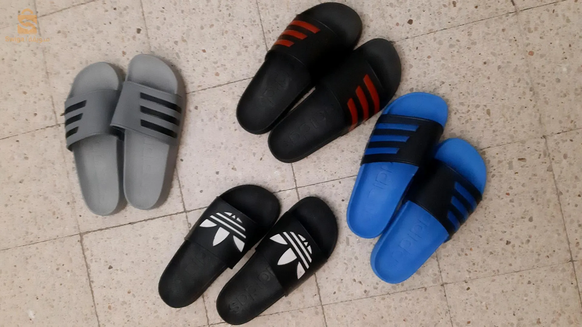 بليغة سوما شابة متوفرة المقياس