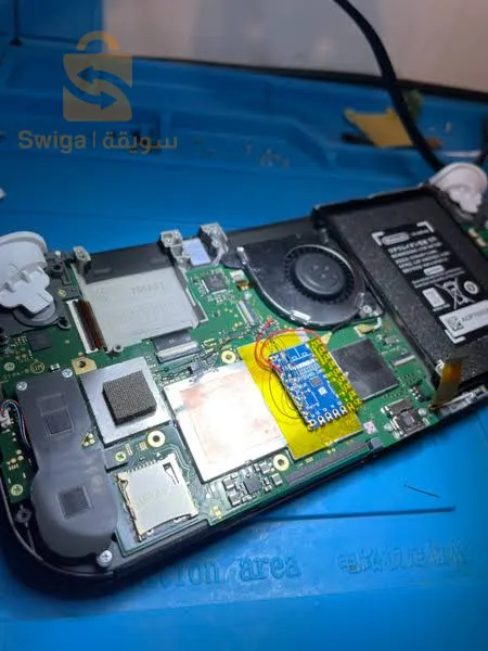 flash (chip) Nintendo switch