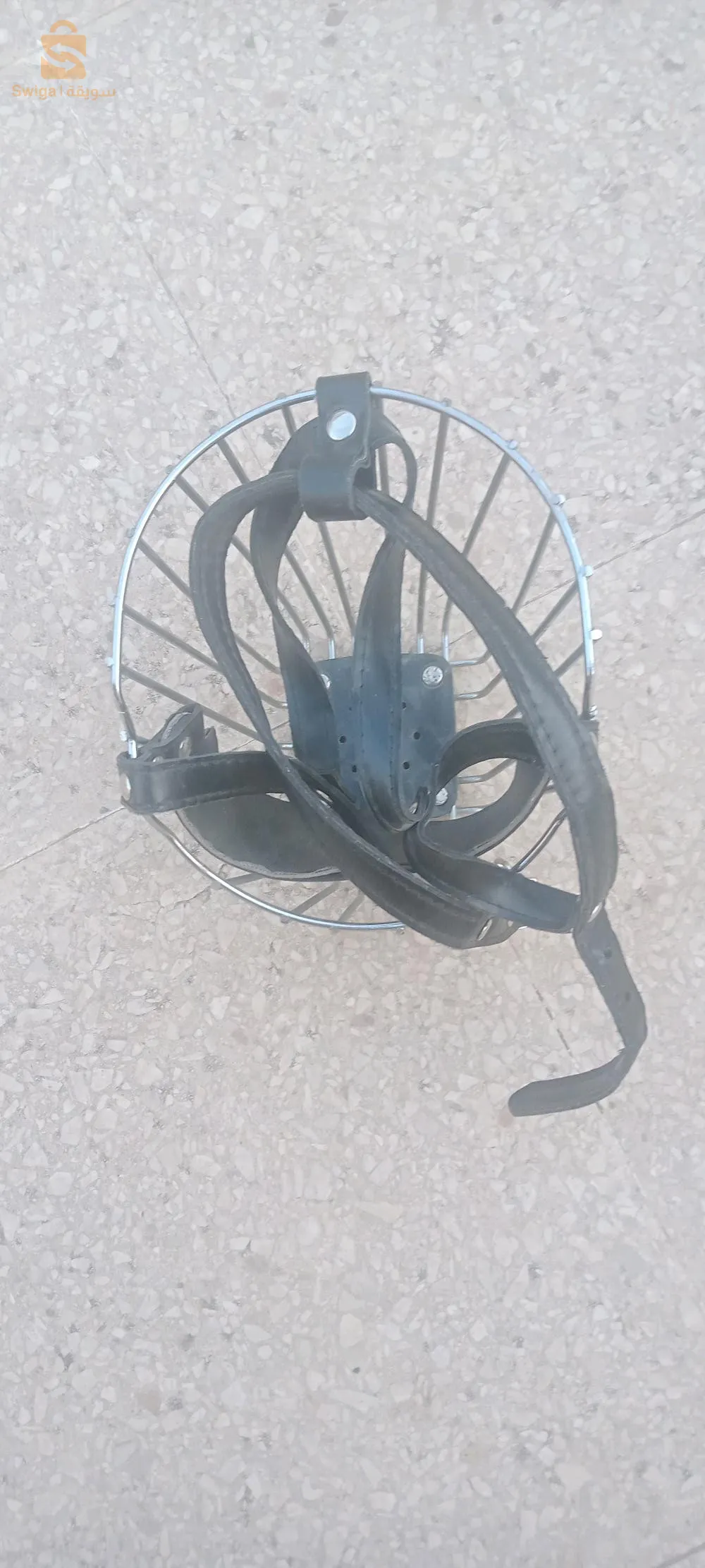 عنابة