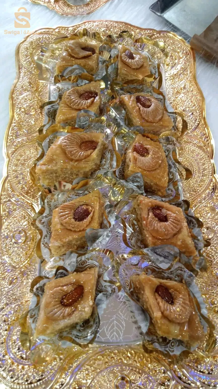 الشطية الشلف
