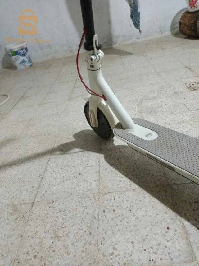 ابن باديس