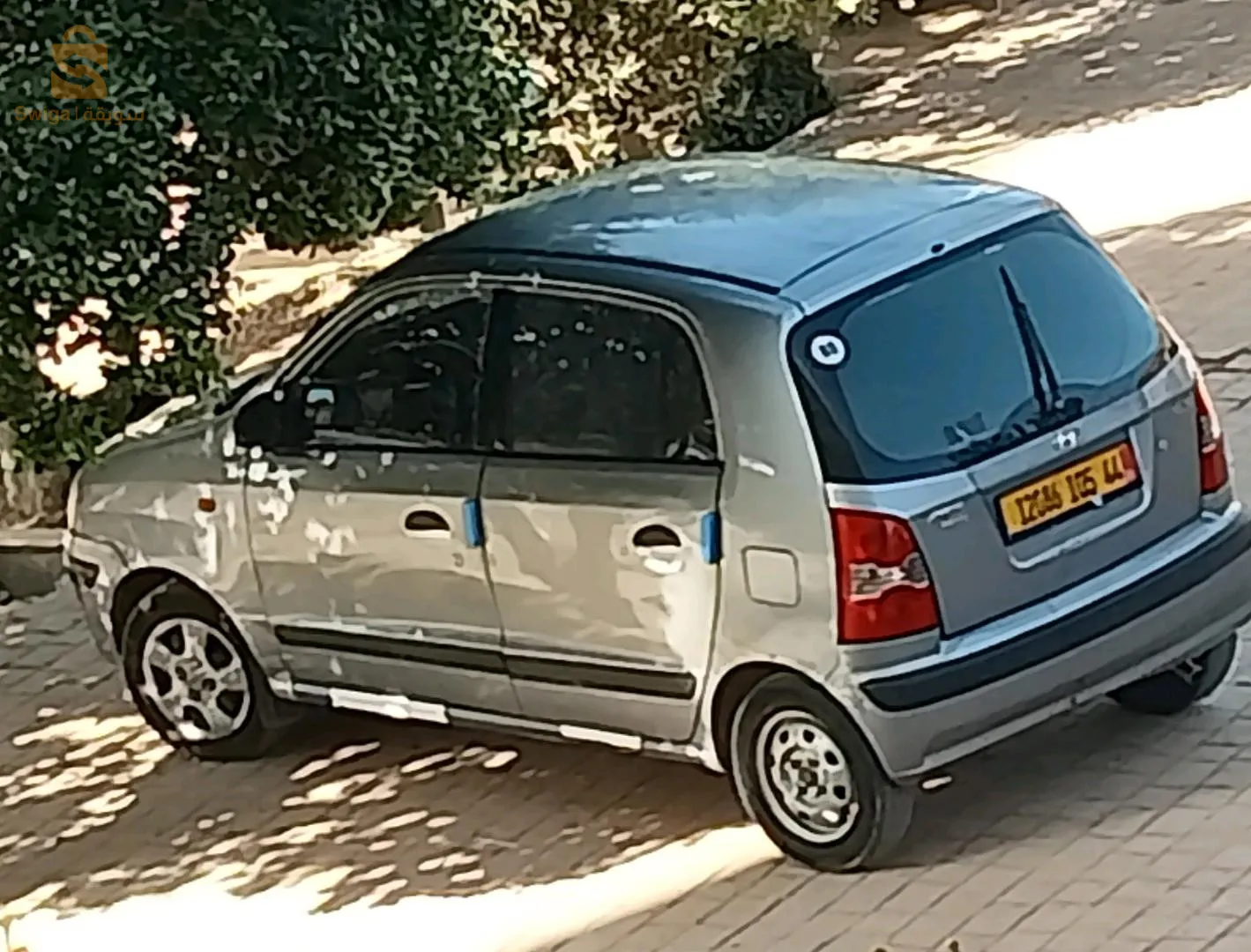 أبحث عن بيكانتو