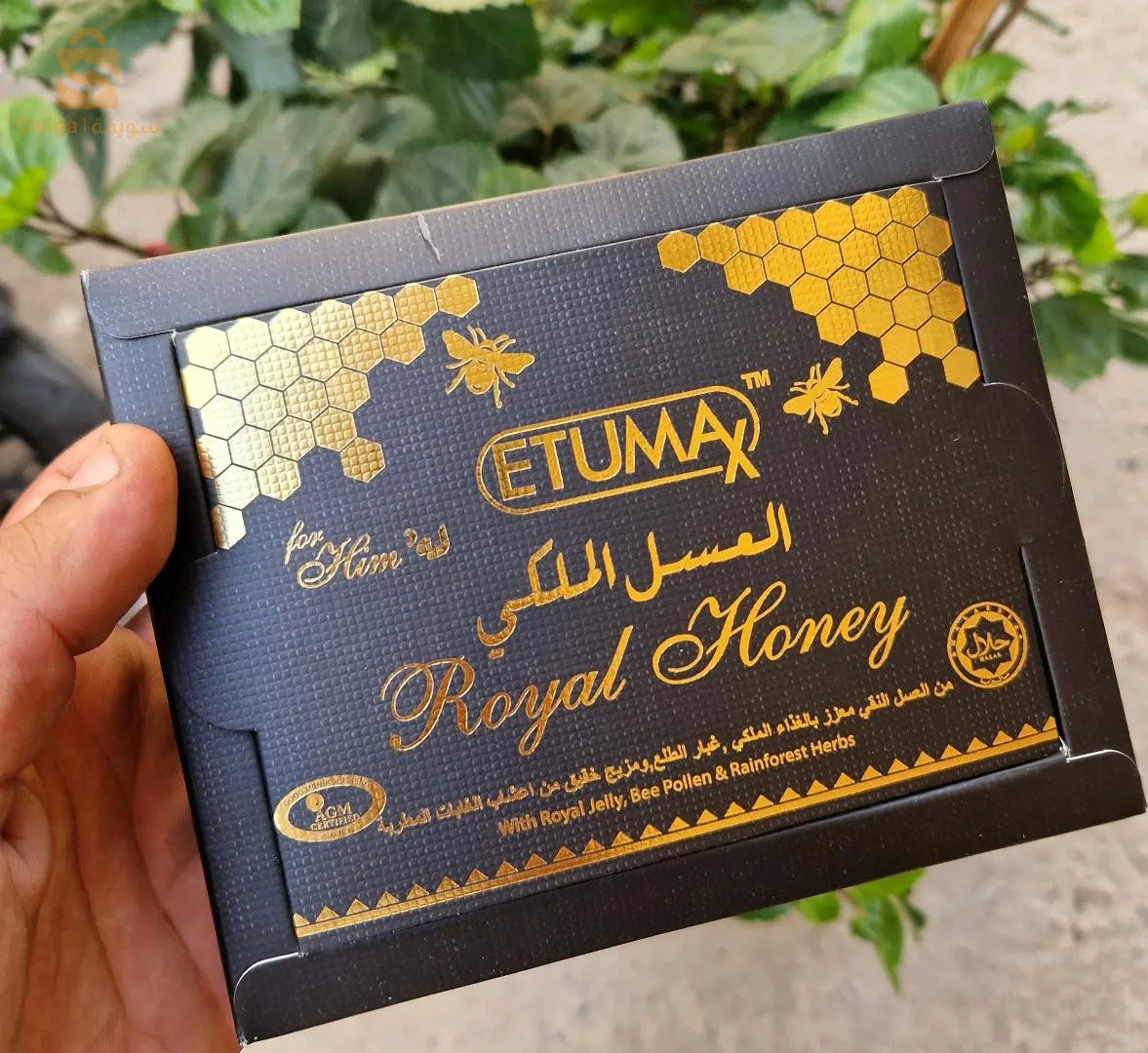 عسل هيلتي الماليزي الاصلي