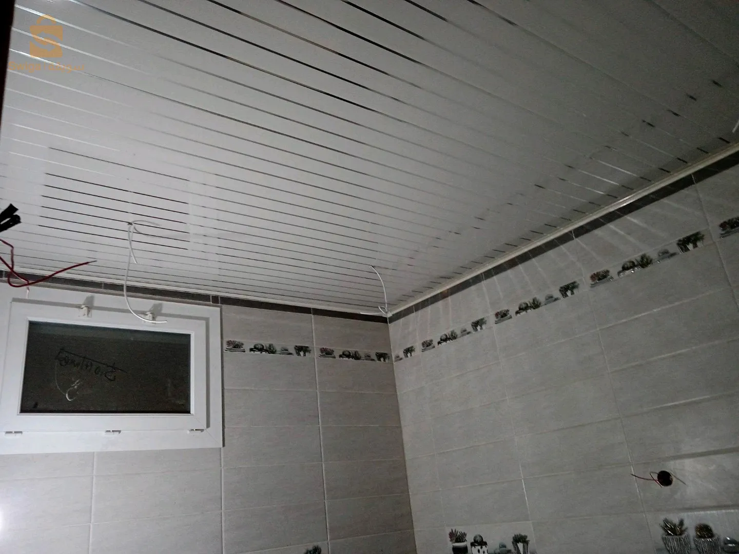 بلاكوبلاتر