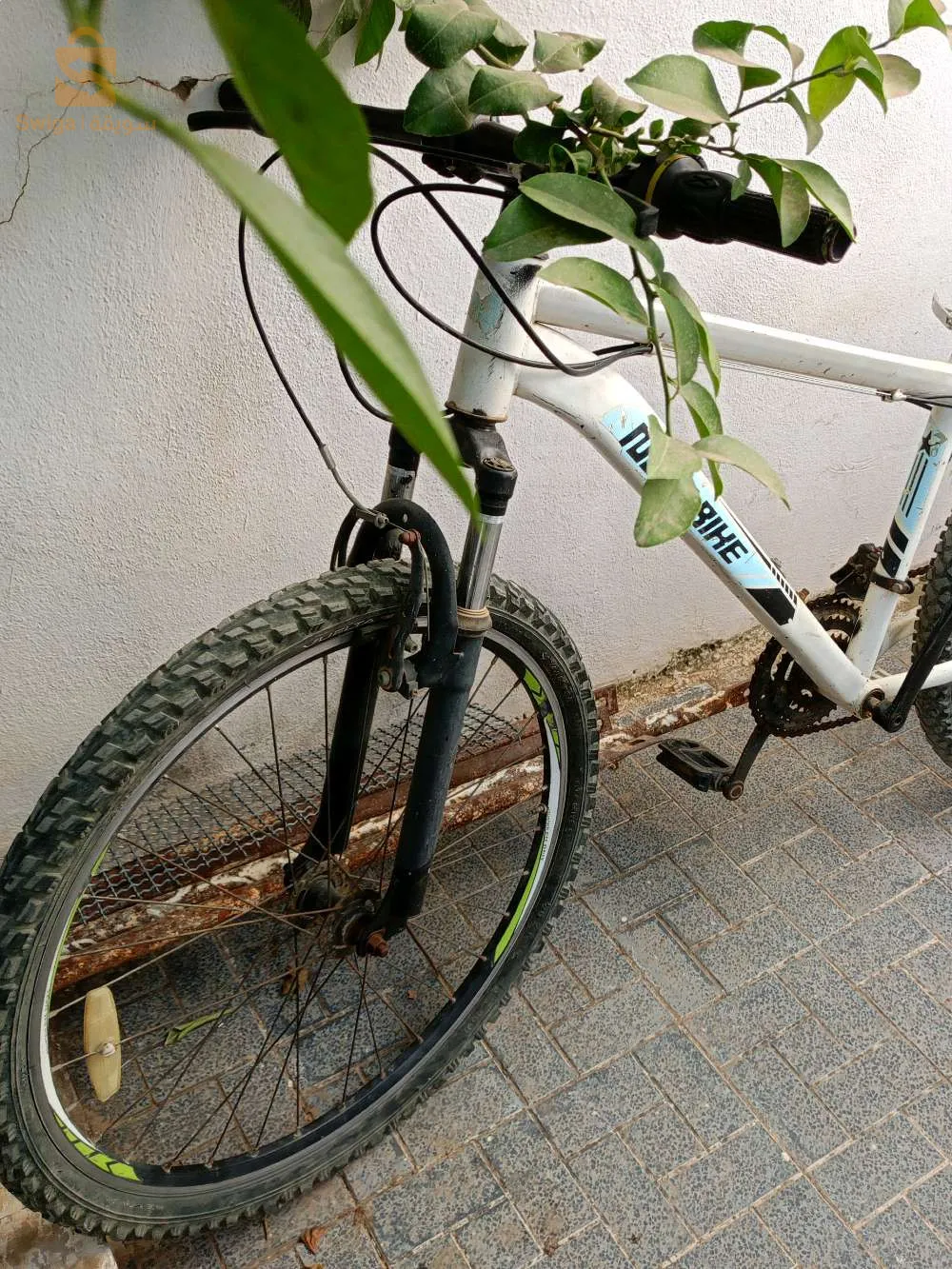 new bike