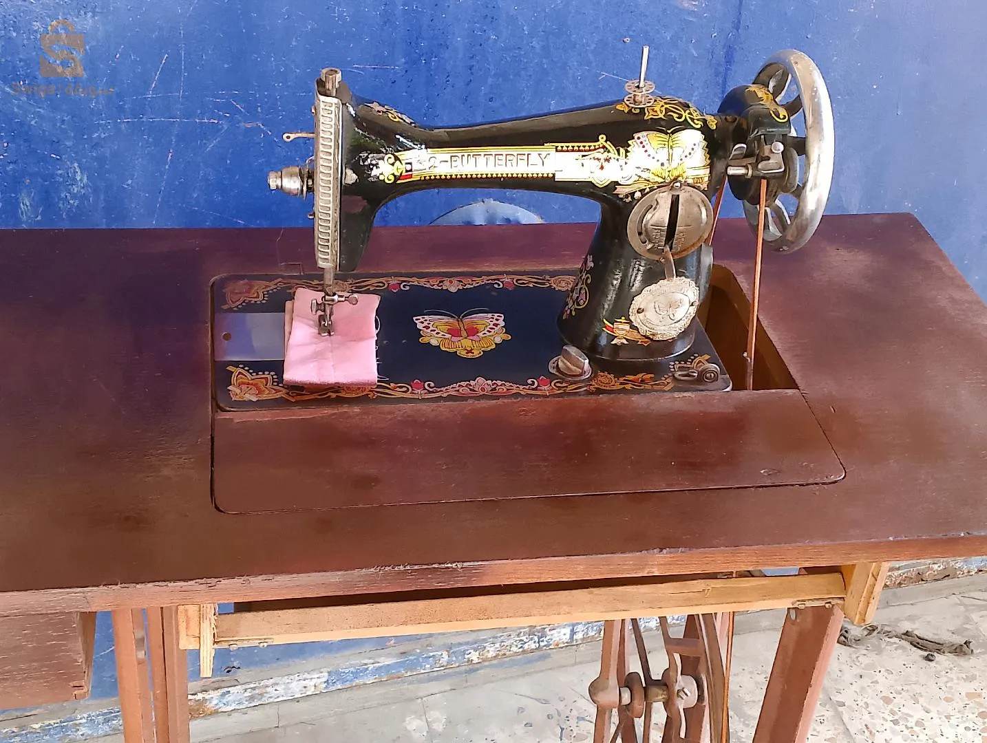 براقي الجزائر