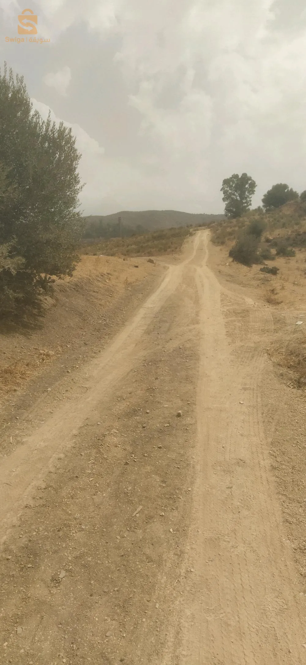 ميراكشي بوقرة البليدة