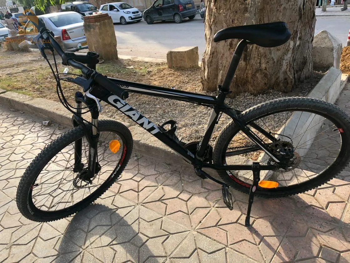 الحروش سكيكدة