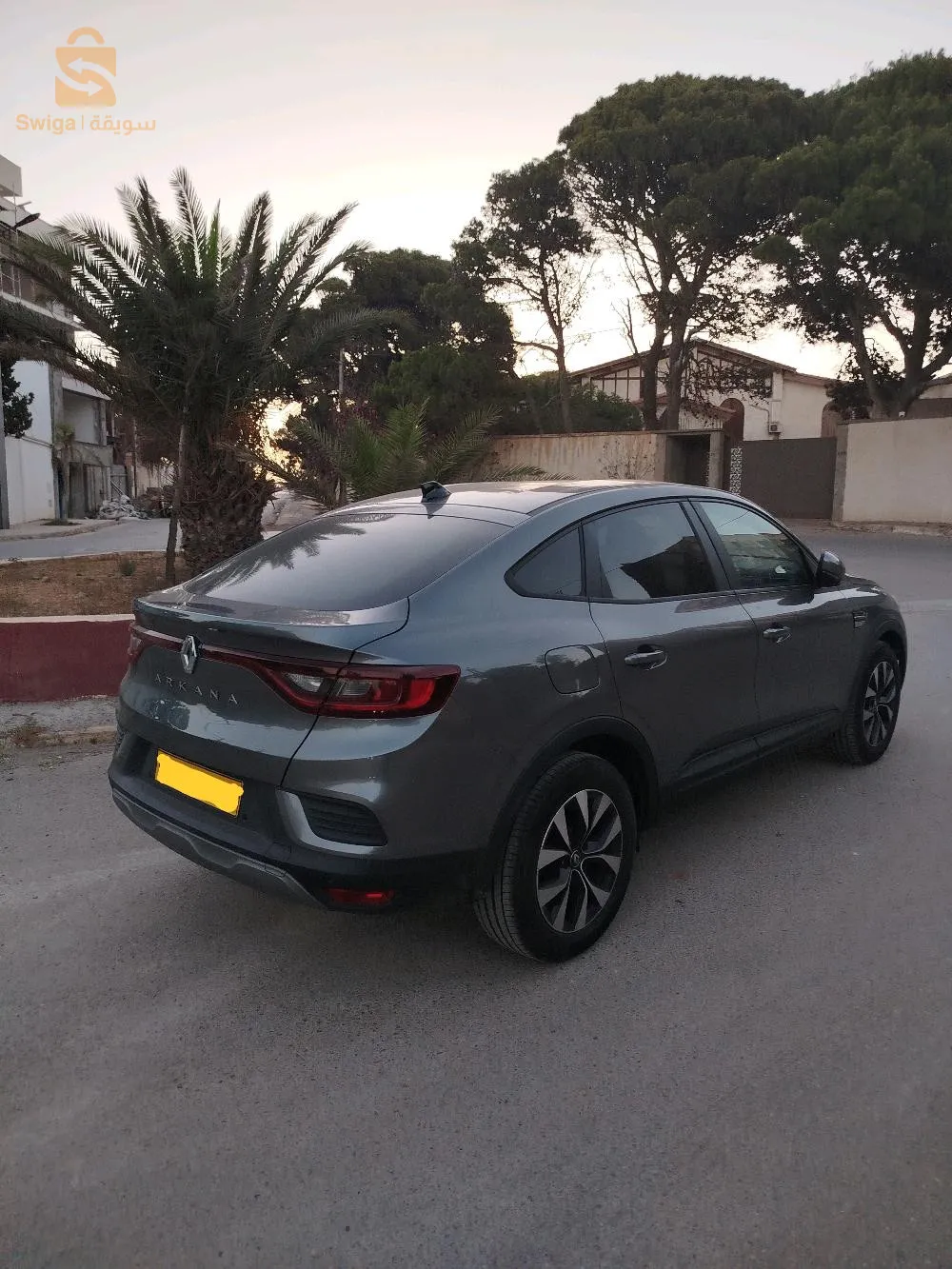 رينو اركانا بيزنس