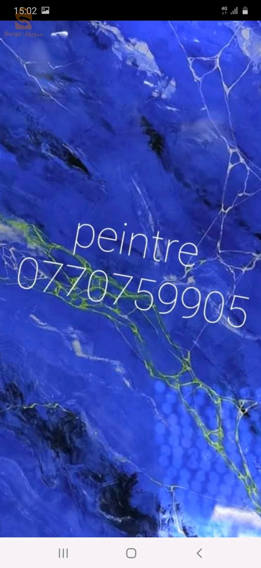 peintre professionel