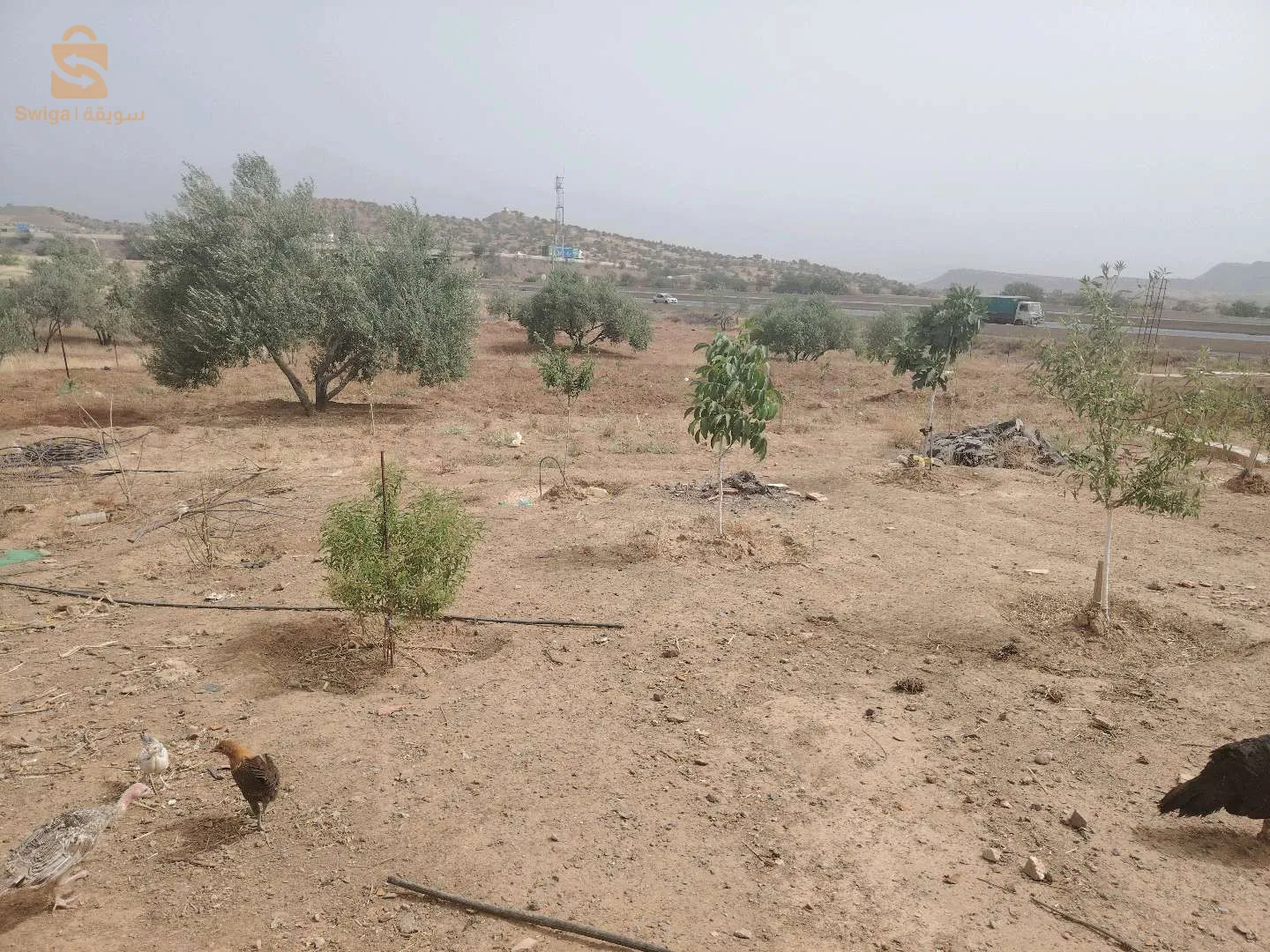 أرض في محاذات الطريق السيار شرق غرب و امام مدخل الطريق السيار إتجاه  بجاية موقع استراتيجي بإمتياز مكان هادئ و حتى توجد مصانع في قيد الإنشاء و حتى لي أنشأت.