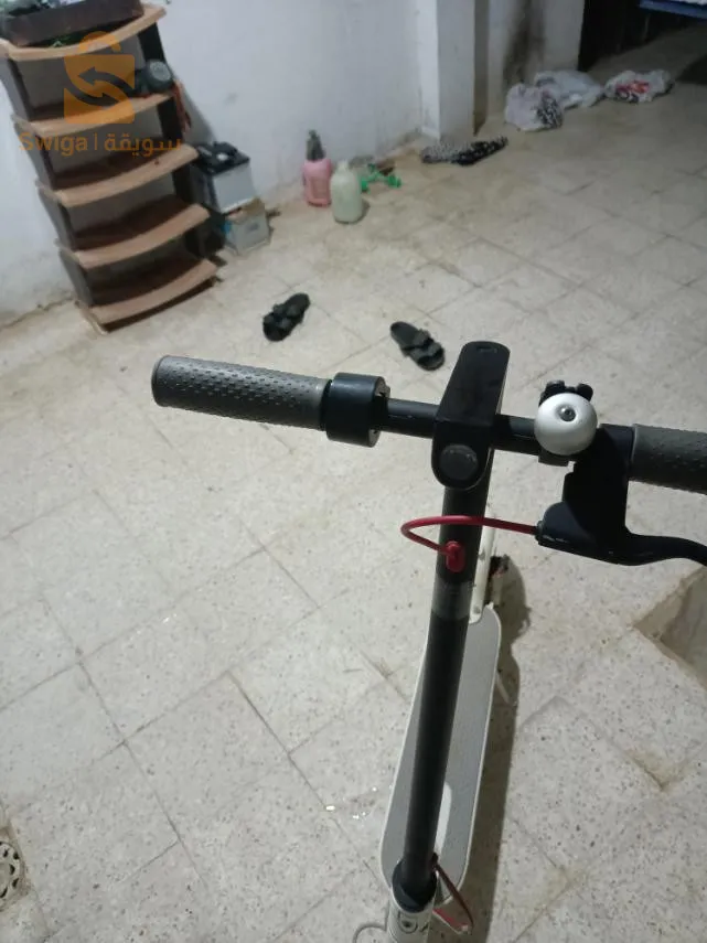ابن باديس