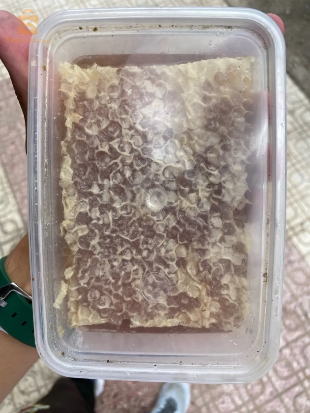 📌متوفر الان عسل الشهدة من جبال الاوراس 🍯📌