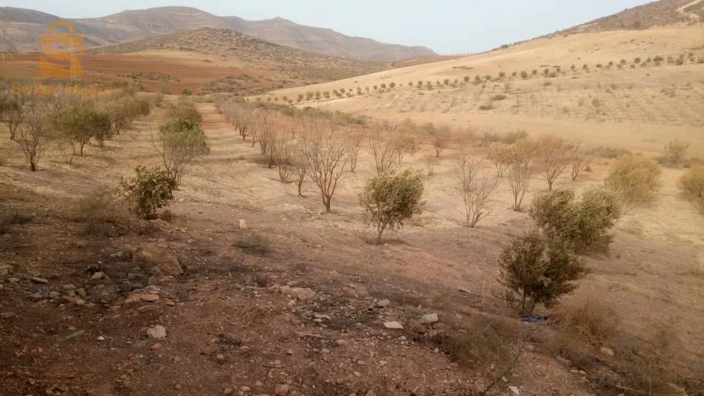 Terrain agricole propice à la construction, à l'agriculture ou à la restauration avec un livret immobilier