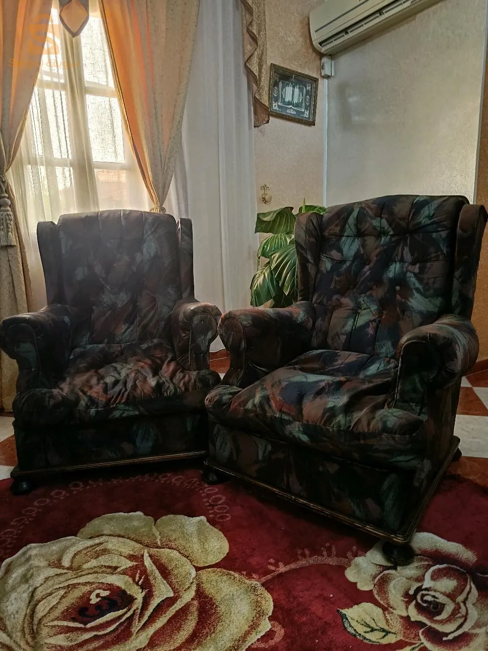 براق (داربوز)