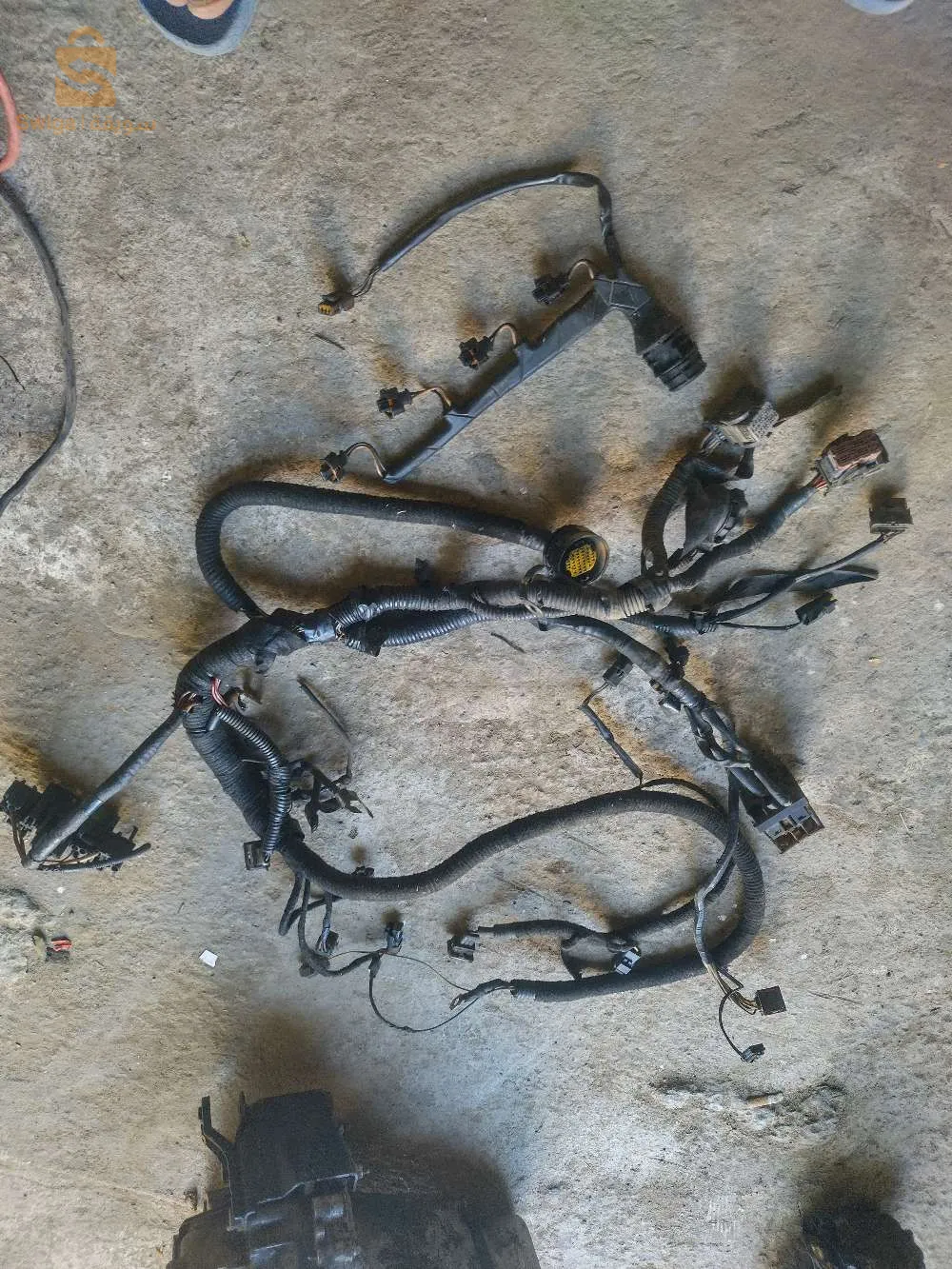 بوات فيتاس فيسو نضيف