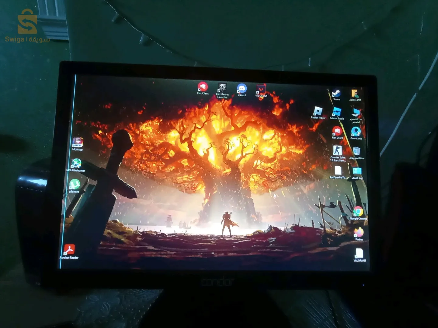 شاشة الكمبيوتر